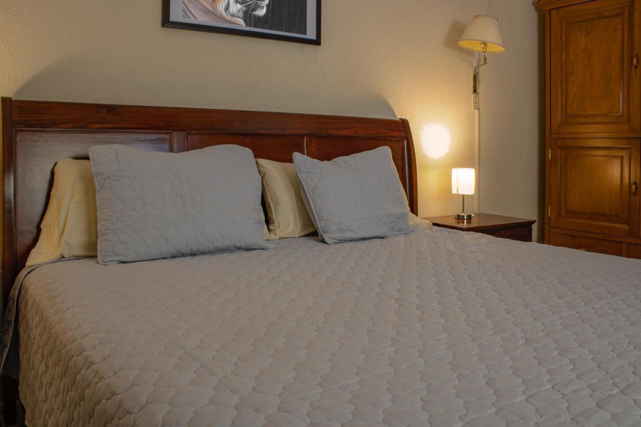Hotel Gran Domo León Eksteriør bilde